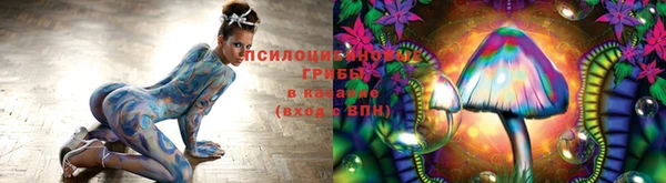 герыч Алзамай