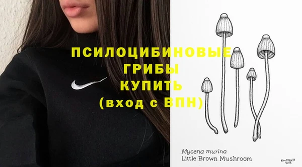 спиды Алексеевка
