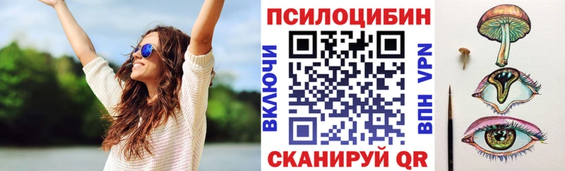 Галлюциногенные грибы Psilocybe Полысаево