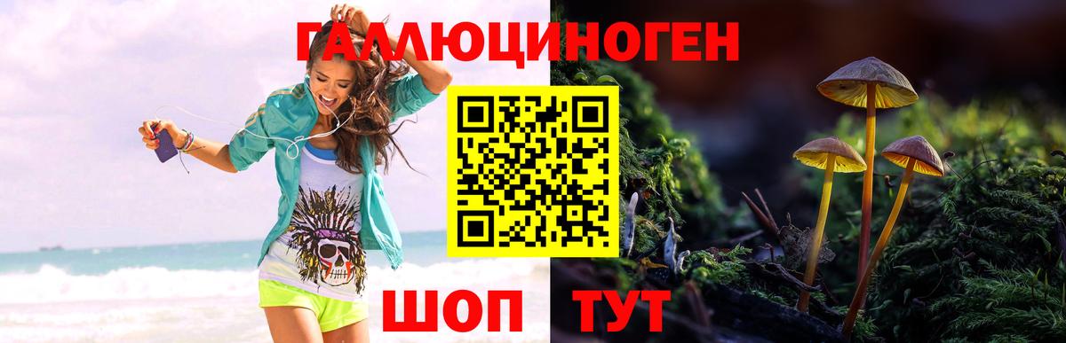 Псилоцибиновые грибы Cubensis  Вход с VPN  Галлюциногенные грибы Psilocybe  Полысаево 